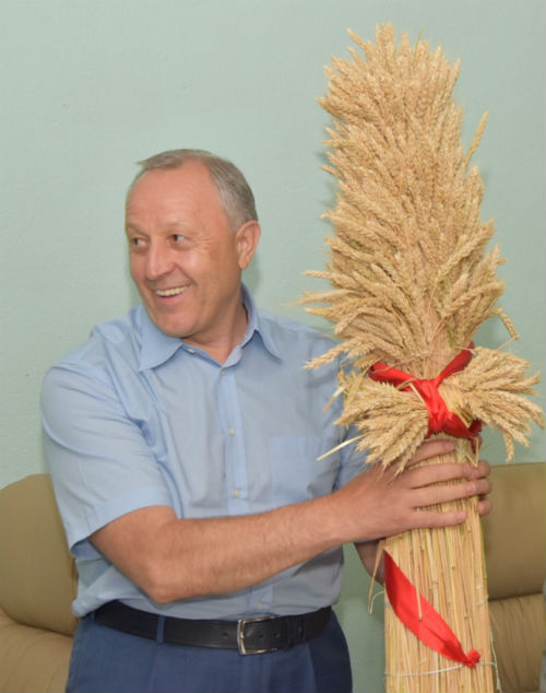 01 губер и сноп